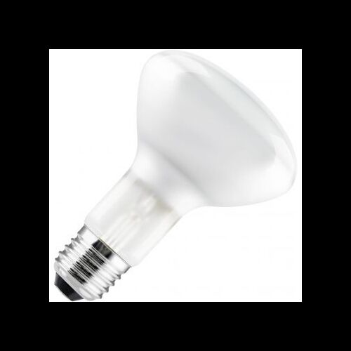 FLOS Leuchtmittel Reflektorlampe LED E27 R80 13W 1250Lm 2700K Dimb.