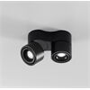 DLS CLIPPO S DUO 2x9,5W 34° 1910-3000K 45-915Lm Dim