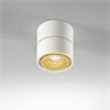 DLS CLIPPO 1x13W 33° dim2warm 1910K-3000K D=100