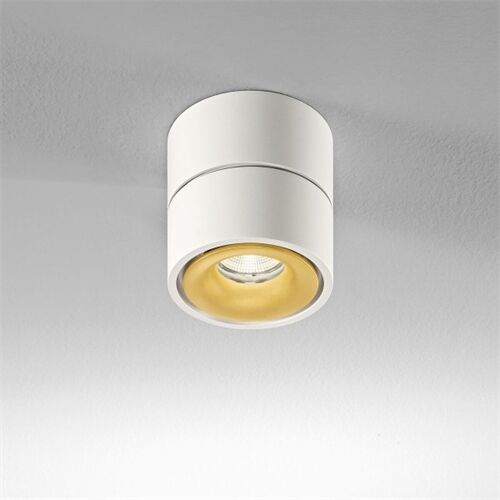 DLS CLIPPO 1x13W 33° dim2warm 1910K-3000K D=100
