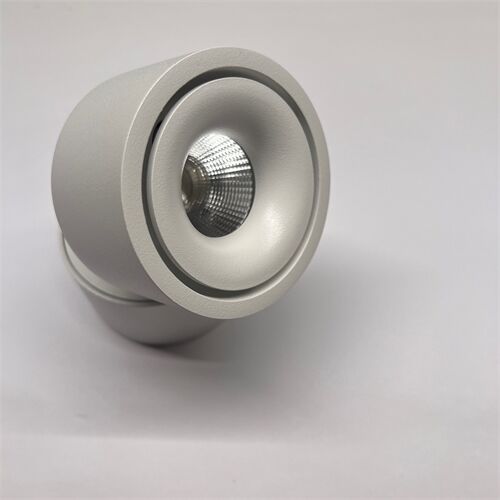 DLS CLIPPO S Magnetischer Entblendungsring D=60 H=20mm