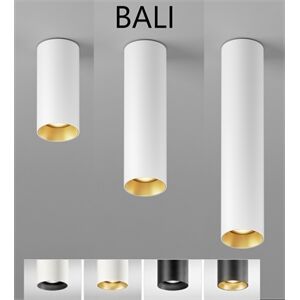 DLS Deckenleuchte BALI D=76mm GU10 schwb 2x10°