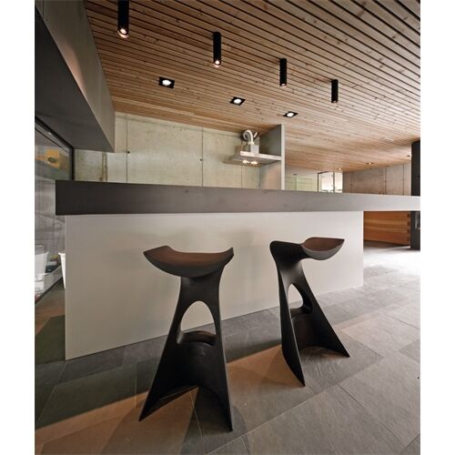 DLS Deckenleuchte BALI L , D=76mm GU10 schwb 2x10°