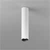 DLS Deckenleuchte BALI L , D=76mm GU10 schwb 2x10°