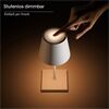 SIGOR NUINDIE MINI USB-C 2,2W H-250mm FlexMood Touchdim