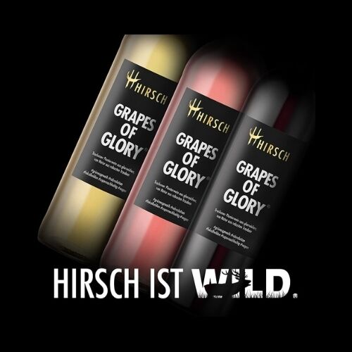 WeinRemise Weinverkostung #Rebvolution 6x 0,1L weiß/rose'/rot