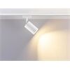 Molto Luce 2~SCHIENENSTRAHLE MISSOR GU10 D=60 H=163mm