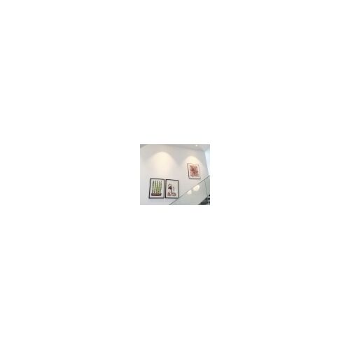 DLS Anbaustrahler CLIPPO 1x14W 2700K 32° 1310Lm Dimb.