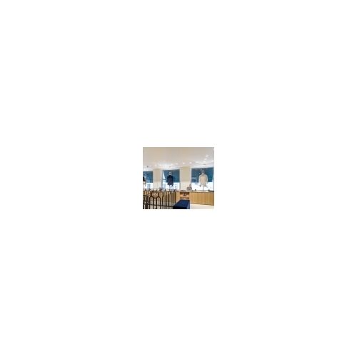 DLS Anbaustrahler CLIPPO 1x14W 2700K 32° 1310Lm Dimb.
