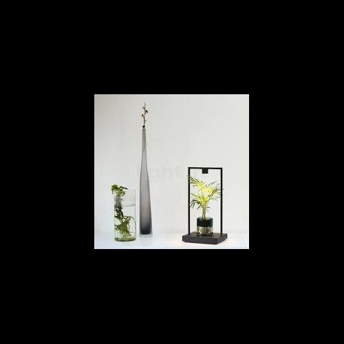 Artemide CURIOSITY 36 dimb. Akku Tischlechte LED3,6W w