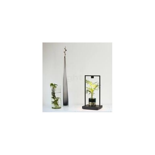 Artemide CURIOSITY 36 dimb. Akku Tischlechte LED3,6W w