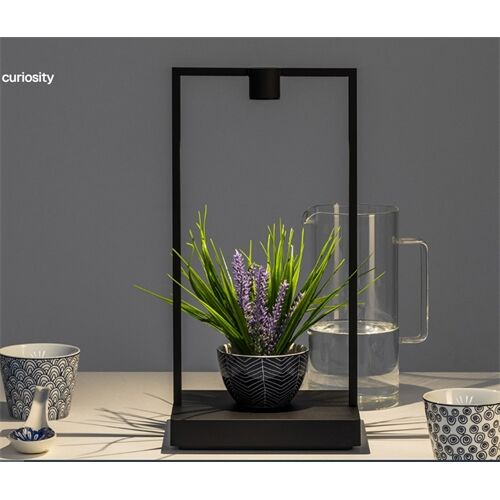 Artemide CURIOSITY 36 dimb. Akku Tischlechte LED3,6W w