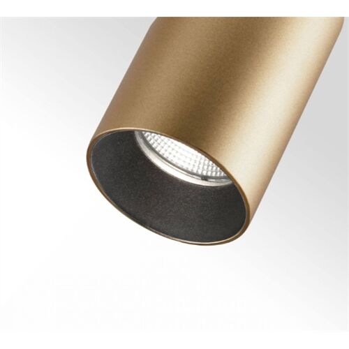 DLS Strahler REED P1 mit 1-Phasen-Adapter GU10 ohne LM