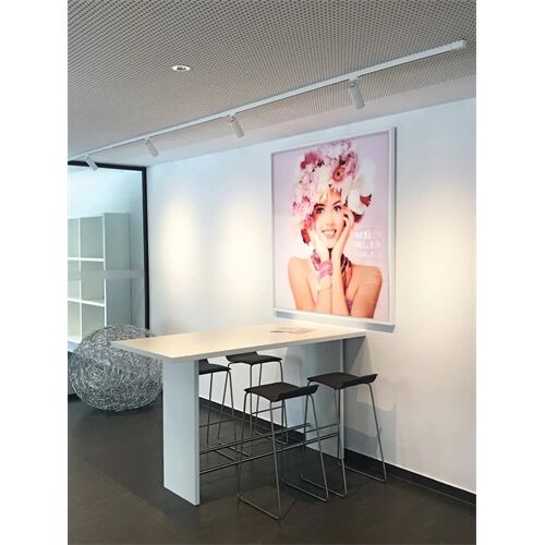 DLS Strahler REED P1 mit 1-Phasen-Adapter GU10 ohne LM