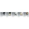 DLS Strahler REED P1 mit 1-Phasen-Adapter GU10 ohne LM