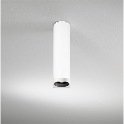 DLS Deckenleuchte BALI , D=76mm GU10 schwb 2x10°
