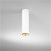 DLS Deckenleuchte BALI L, D=76mm GU10 schwb 2x10°