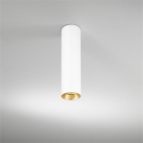 DLS Deckenleuchte BALI L, D=76mm GU10 schwb 2x10°