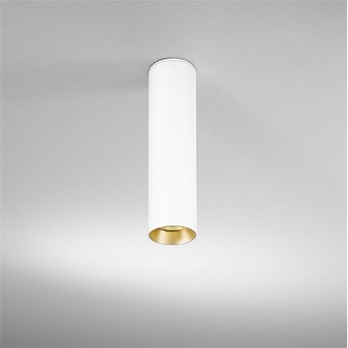 DLS Deckenleuchte BALI , D=76mm GU10 schwb 2x10°