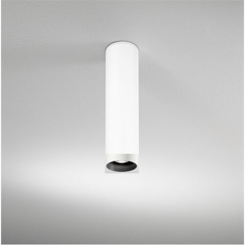DLS Deckenleuchte BALI L , D=76mm GU10 schwb 2x10°