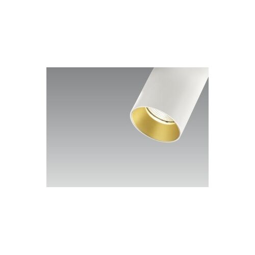 DLS SATURNO 2 x9,3W 2700K 32° je 860Lm Phasedim