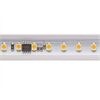 SIGOR HOCHVOLTSTREIFEN LED 8W/m 230V IP65 (Zuschnitt 1m)